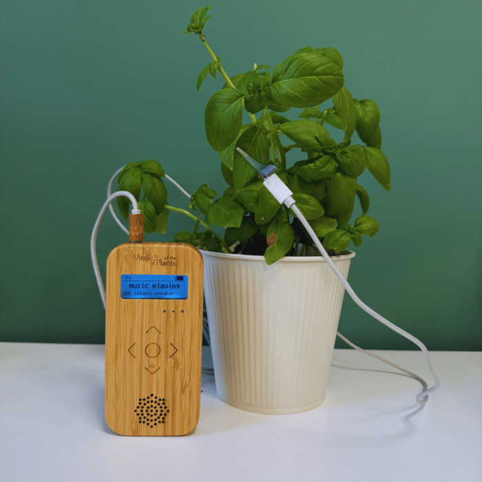 Music of the Plants 【Bamboo Mタイプ】 BAMBOO M - Music Creativity