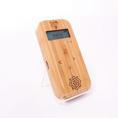 Bamboo Transparent Stand