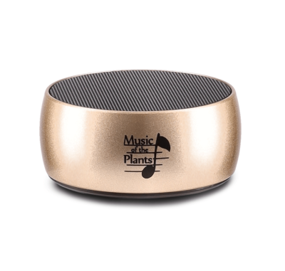 External speaker
