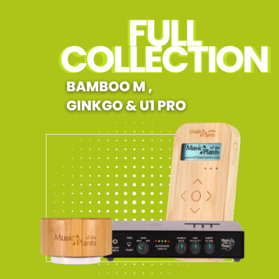 FULL COLLECTION: get a Ginkgo for FREE