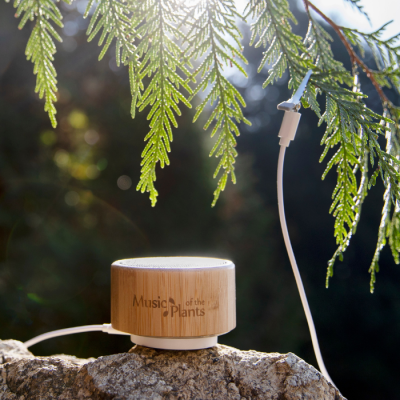 Ginkgo – Powerful & Easy